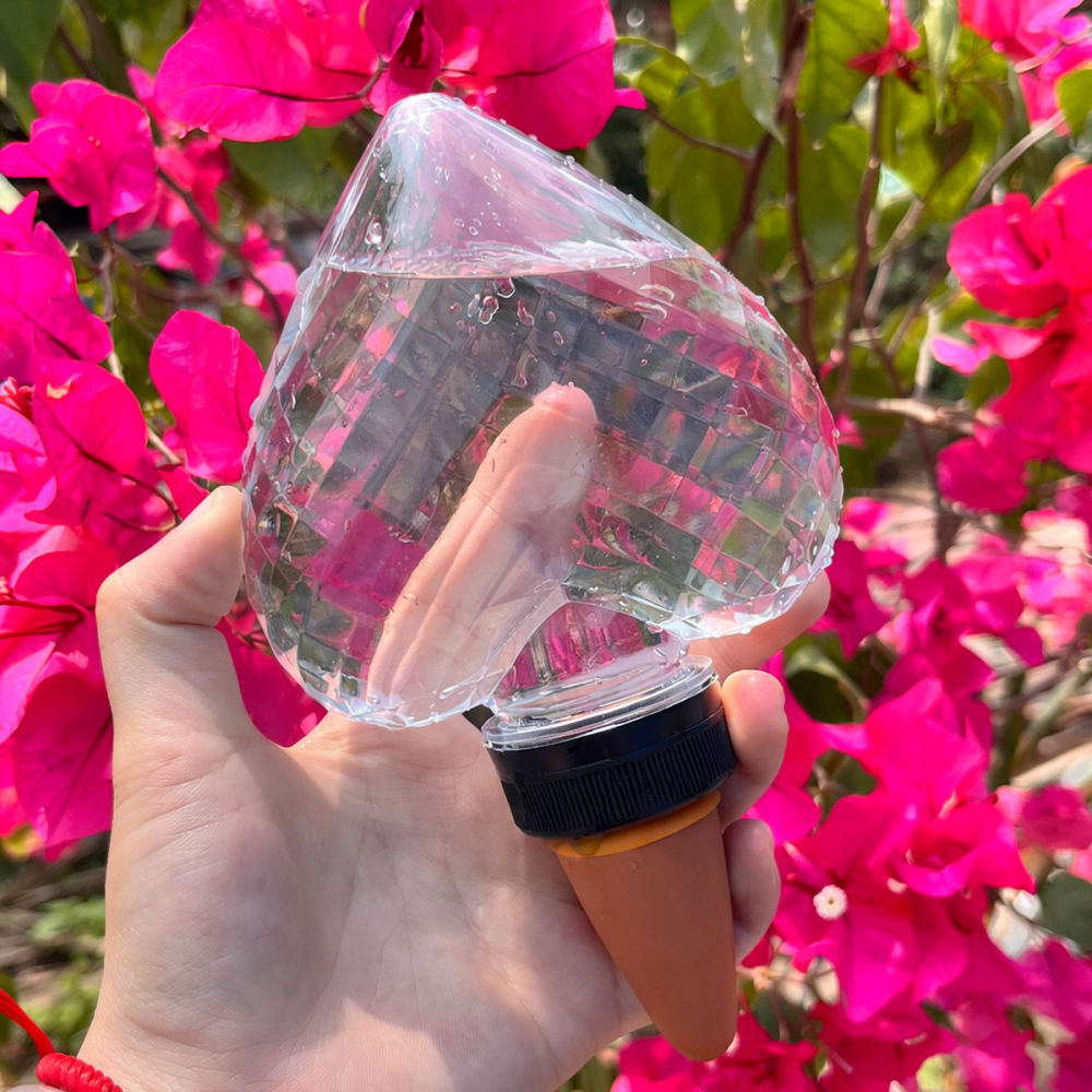 Heart Shaped Automatic Waterin - огляд і ціна Automatic Plant Waterer